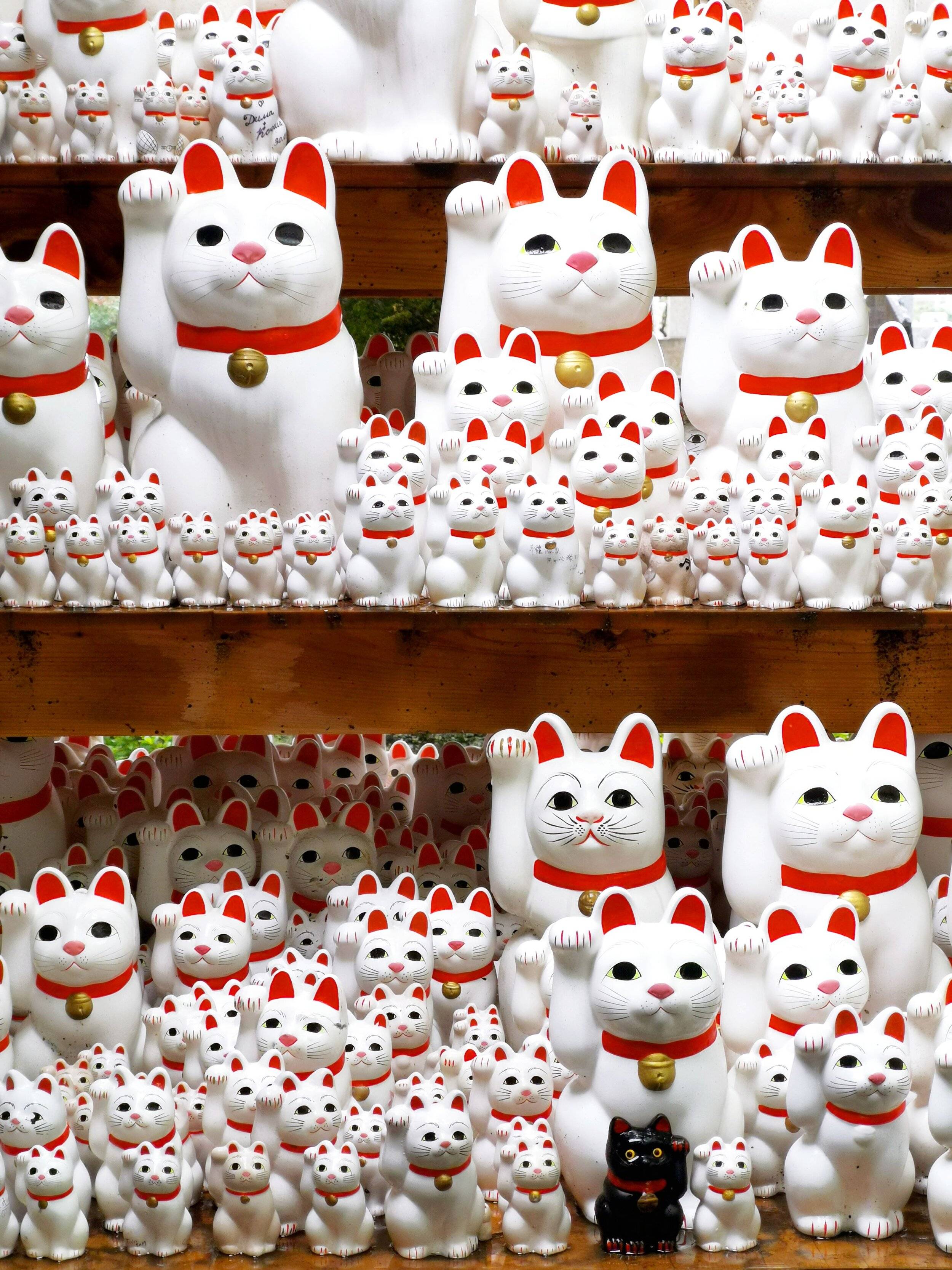 ⛩️ 대계산 호덕사 (다이케이잔 고토쿠지)